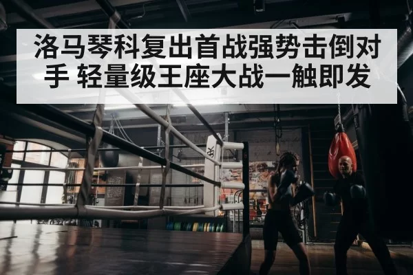 boxer training